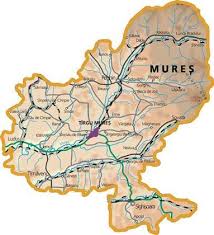 Reparatii acoperisuri Mures - Servicii Profesionale și Garanție de Durabilitate 2 Reparatii acoperis mures